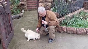 Что стало с домом  без хозяина. дом скульптора.. Новый 2023 год.Херсонская обл.