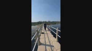 Подборка прикольных видео #11