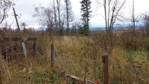 Последнии яблочки, дом совсем старый.