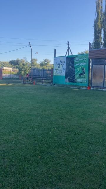 9.  выражено/пож ШВЕППС ИЗ ФОРТУНА МЕРДИ (Gino della Valcuvia – Чеслава из Фортуна Мерди)