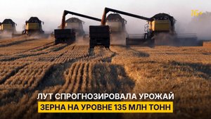 Лут спрогнозировала урожай зерна на уровне 135 млн тонн