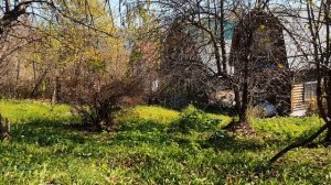 Пролетела словно знойный ветер...