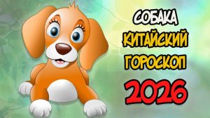 КИТАЙСКИЙ ГОРОСКОП на 2026 год для СОБАКИ