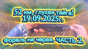 ФОРЕЛЬ НА ЧЕРВЯ! 52 КМ. ГЛУХАЯ ТАЙГА. ЧАСТЬ 2. ПРОДОЛЖЕНИЕ. #форель #fishing #recommended #rek