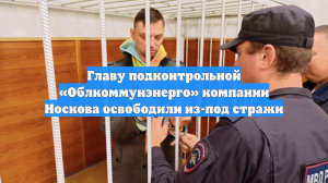 Главу подконтрольной «Облкоммунэнерго» компании Носкова освободили из-под стражи