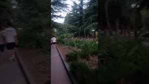 В Приморском парке