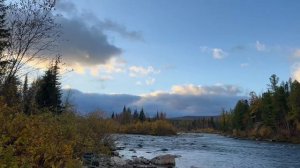 Приполярный 2025