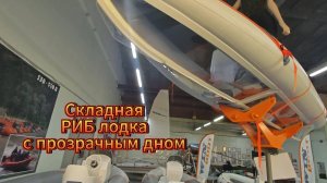 Что такое складные РИБ-лодки Winboat? Обзор лодки и байдарки с прозрачным дном для исследователей