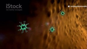 Почему без лимфы мы не выживем