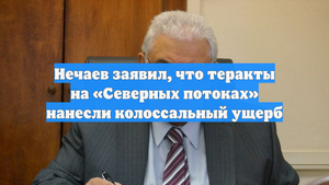 Нечаев заявил, что теракты на «Северных потоках» нанесли колоссальный ущерб