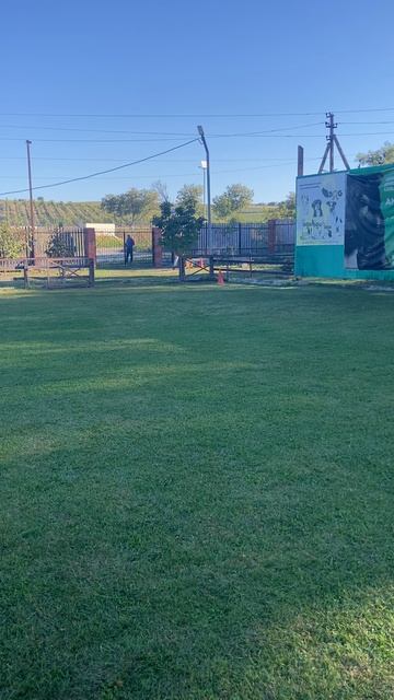 10.  выражено/пож OLIMPIYA S FAMILY*S FRIVER (Targaryen Wilcza Horda-Team – Tris s Family*S Friver)