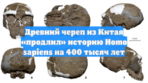 Древний череп из Китая «продлил» историю Homo sapiens на 400 тысяч лет