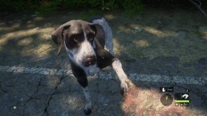 theHunter: Call of the Wild™