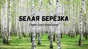 Белая берёзка (слова Олег Корешков)