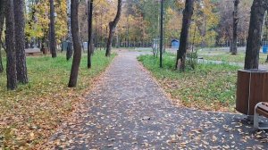 Осень, осень золотая, я люблю тебя родная.