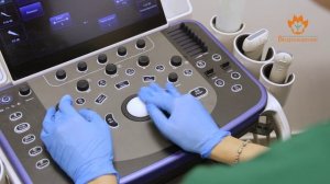 Видеоролик для бизнеса: УЗИ обследование в ветеринарной клинике