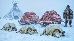 ЧТО УБИВАЕТ в Русской ТАЙГЕ? Охотник УВИДЕЛ ЭТО в лесу и ПОСЕДЕЛ. ЖЕСТЬ из самой глуши России.