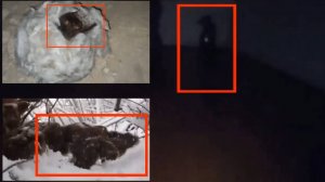 ТОП 5 Жуткие существа удачно снятые на камеру | Страшные видео