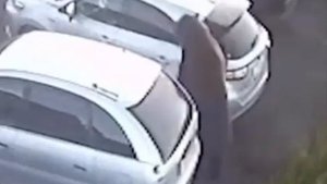 Видео от potEXCLIPS | Тренды VKClips & Reels