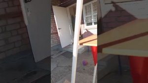 Один час жизни . Завтрак съешь сам,обед поделись с другом,ужин отдай врагу.