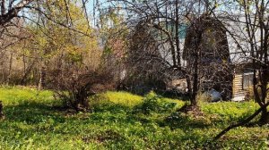 Совсем один на белом свете, словно перст...