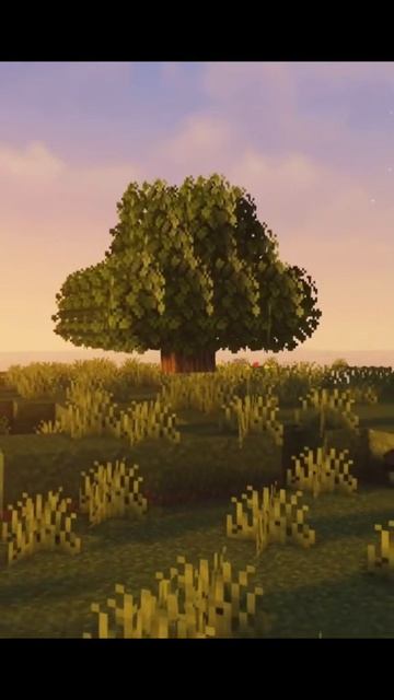 твой первый дом... ждёт тебя 😔 смотреть онлайн