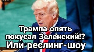 ТРАМПА ОПЯТЬ ПОКУСАЛ ЗЕЛЕНСКИЙ?