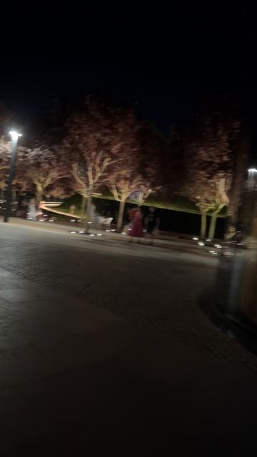 Кафе, рестораны и прогулки по ночному парку Галицкого #парккраснодар #паркгалицкого