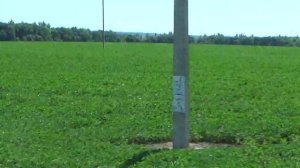 село смородино белгородского района белгородская область село смородино