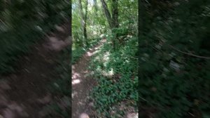 Исследую вершину горы Медведь в Архипо-Осиповке на Чёрном море