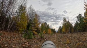 Окунёмся в атмосферу осеннего Баргузинского заповедника?
