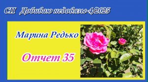 СП "Добиваю недовязы-4/2025" / Отчет 35