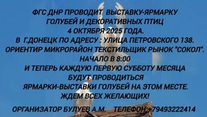 Объявление.Ярмарка голубей в Донецке 4 октября 2025г (Текстильщик,рынок "Сокол")
