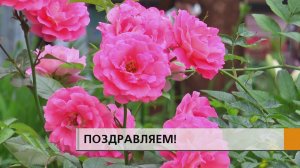 Теплое лето сменилось золотой осенью