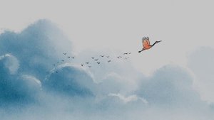 video_114 Журавли