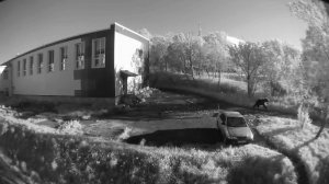 РАДИ БЕЗОПАСНОСТИ В ГОРОДЕ | Новости Камчатки | Масс Медиа