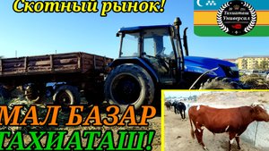 26-09-2025 СКОТНЫЙ РЫНОК -МАЛ БАЗАР