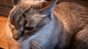 26 сентября 2025. Последняя телега книг...