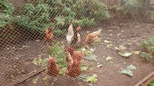 26-09-2025💥Влог💥пятница 📖комментарии