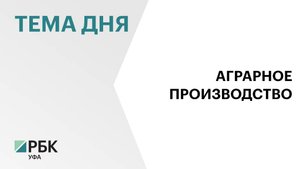 Производство продукции сельского хозяйства в Башкортостане за 8 мес. 2025 г. составило ₽132,4 млрд