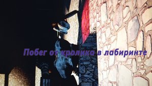 Побег от кролика в лабиринте (РОБЛОКС)