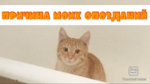 Что сказали врачи? Сдала мочу ....