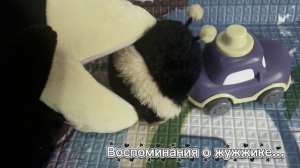 Потеряли жужжи-ка 😭