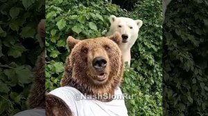 🇷🇺Немного юмора👏