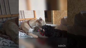 Наша выпускница Мартиша с подружкой. 💝💝💝💝