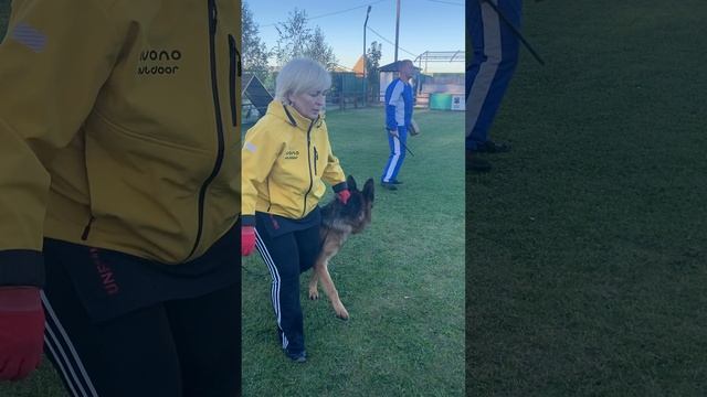 5.  выражено/перв RUDI V. TEAM VALTENBERG (Uvo dell* Alto Ofanto – Dixi v. Valtenberg)