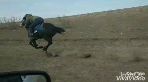 Муамар. скорость 69км под весом 95кг