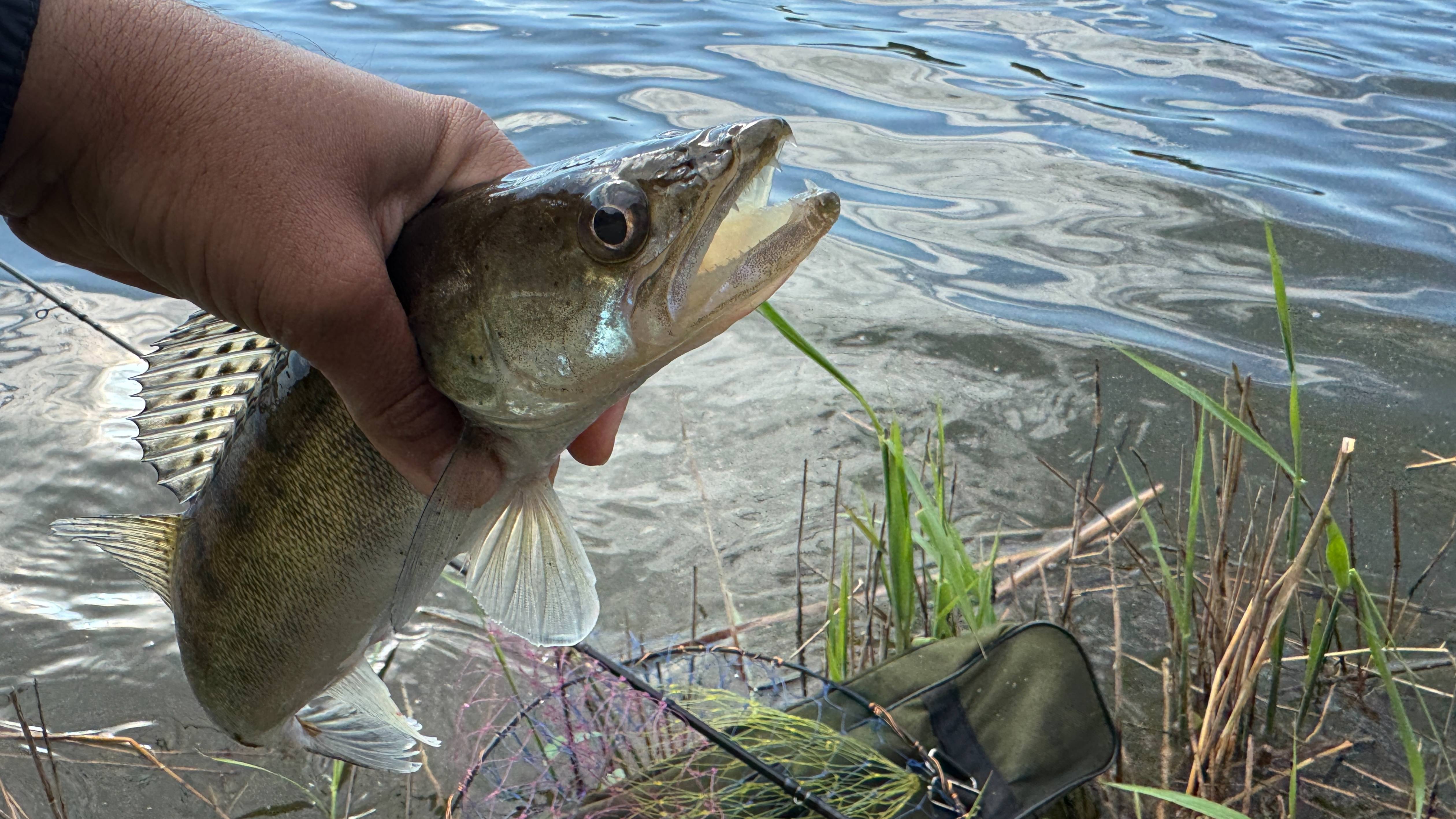 Короткая Рыбалка на спиннинг с берега. Блесна. Рыбалка на блесну.