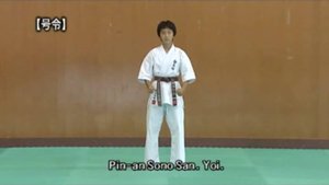Пинан Соно Сан - Ката Карате Кёкусинкай (Kata Pinan Sono San - 平安三段 v.2