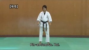Пинан Соно Го - Ката Карате Кёкусинкай (Kata Pinan Sono Go - 平安五段) v.2